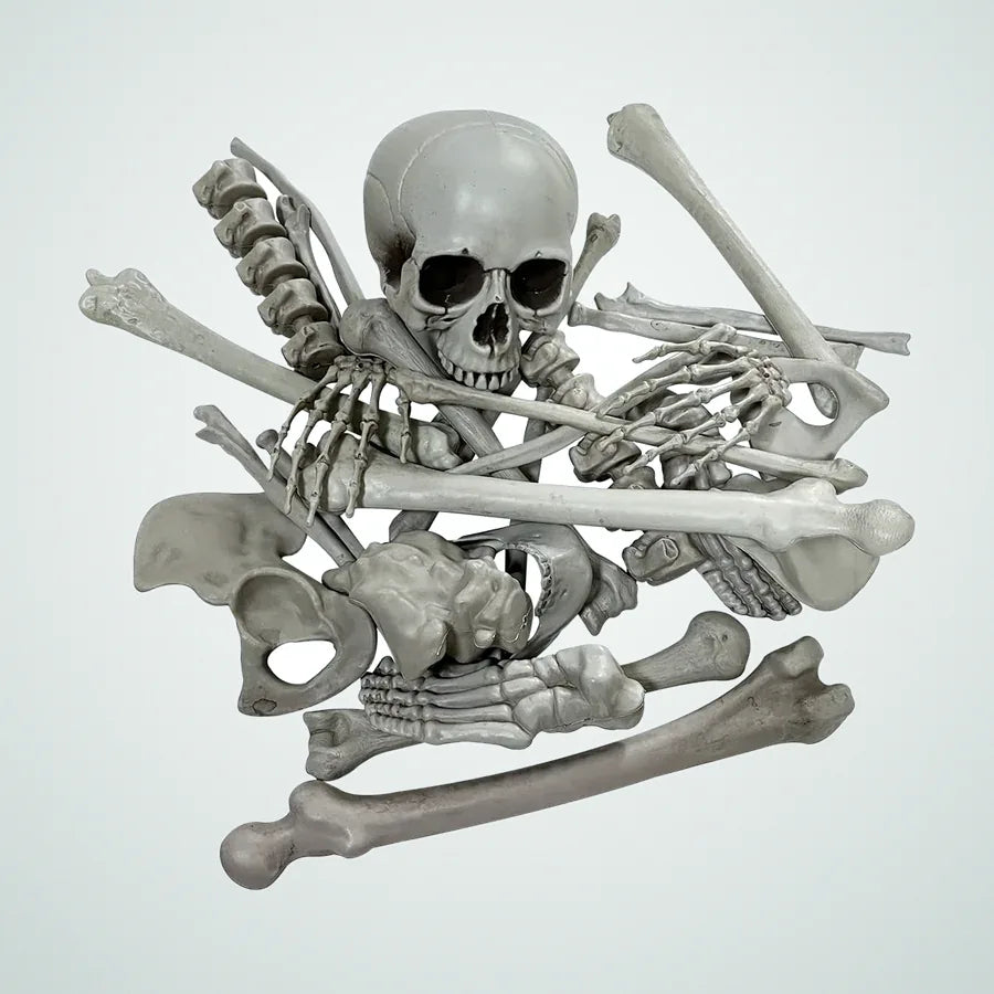 Jettyhall Skeleton, photo 1