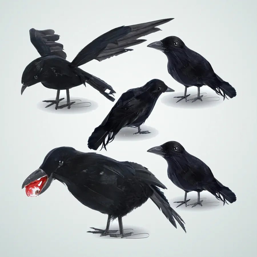 Moonwater Crows, 5 pack, photo 1