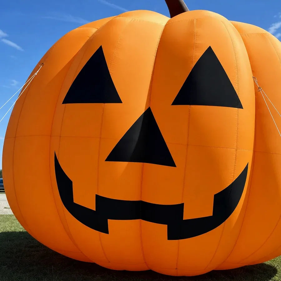 Ballastmoor Giant Pumpkin – 20 ft, photo 3