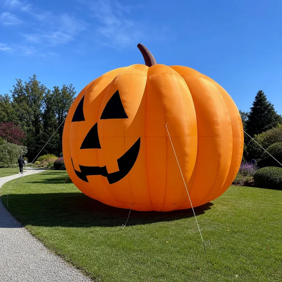 Ballastmoor Giant Pumpkin – 20 ft, photo 6