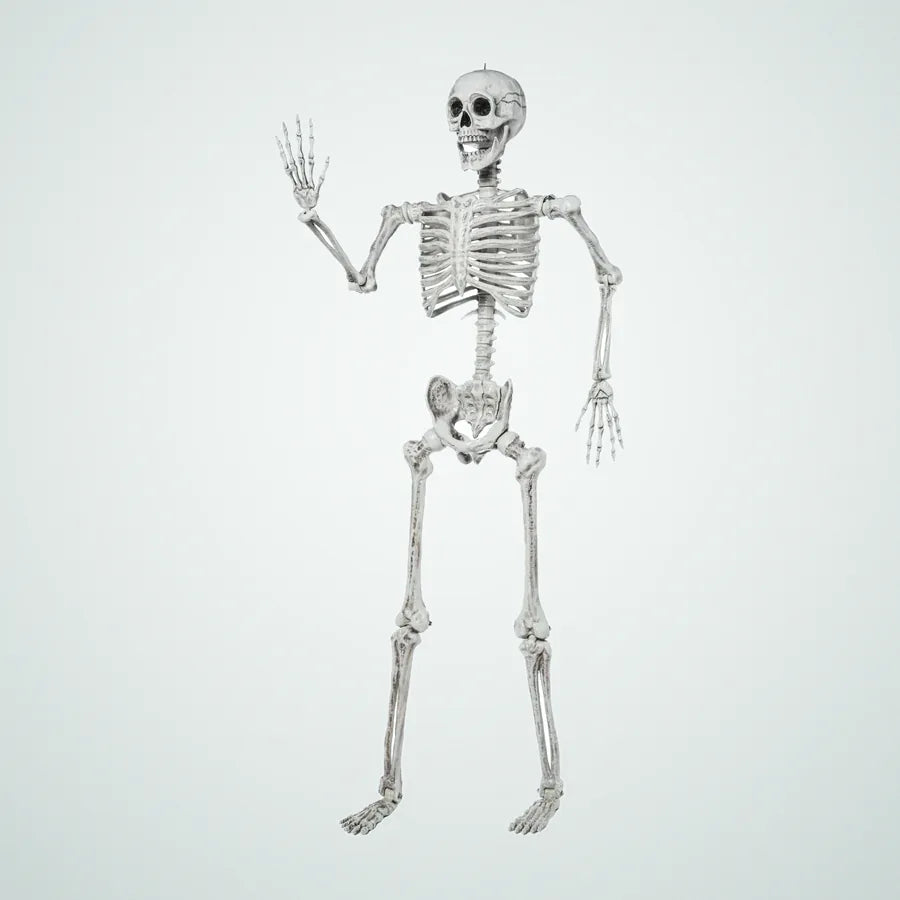 Cablereach Skeleton – 5.6 ft, photo 1
