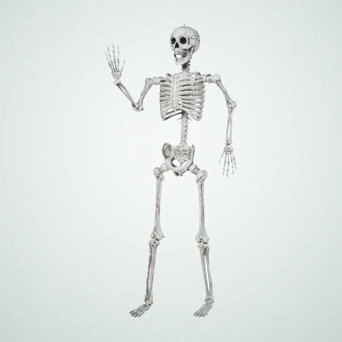 Cablereach Skeleton – 5.6 ft, photo 1