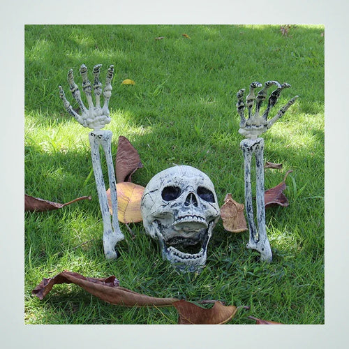 Capstanmoor Buried Skeleton, photo 1