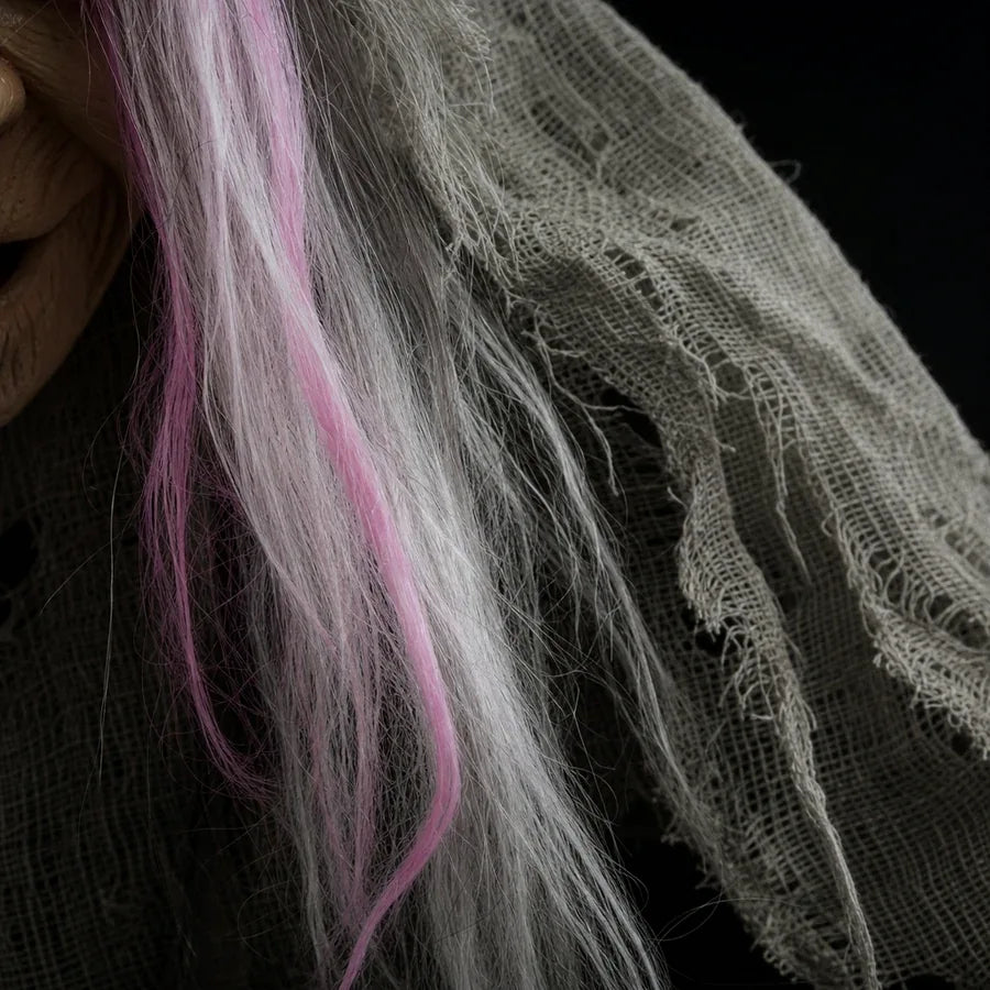 Causeway Witch Animatronic, photo 7