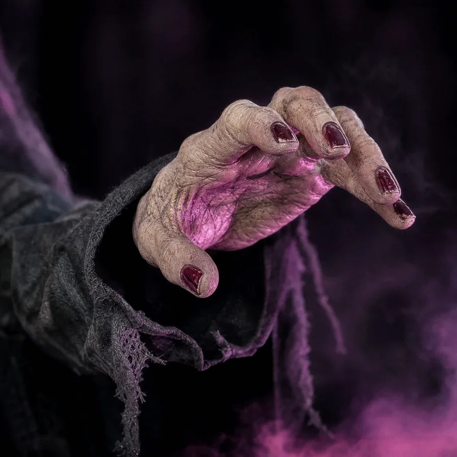 Causeway Witch Animatronic, photo 9