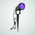Coralmere Spotlight, 1 pack, photo 1