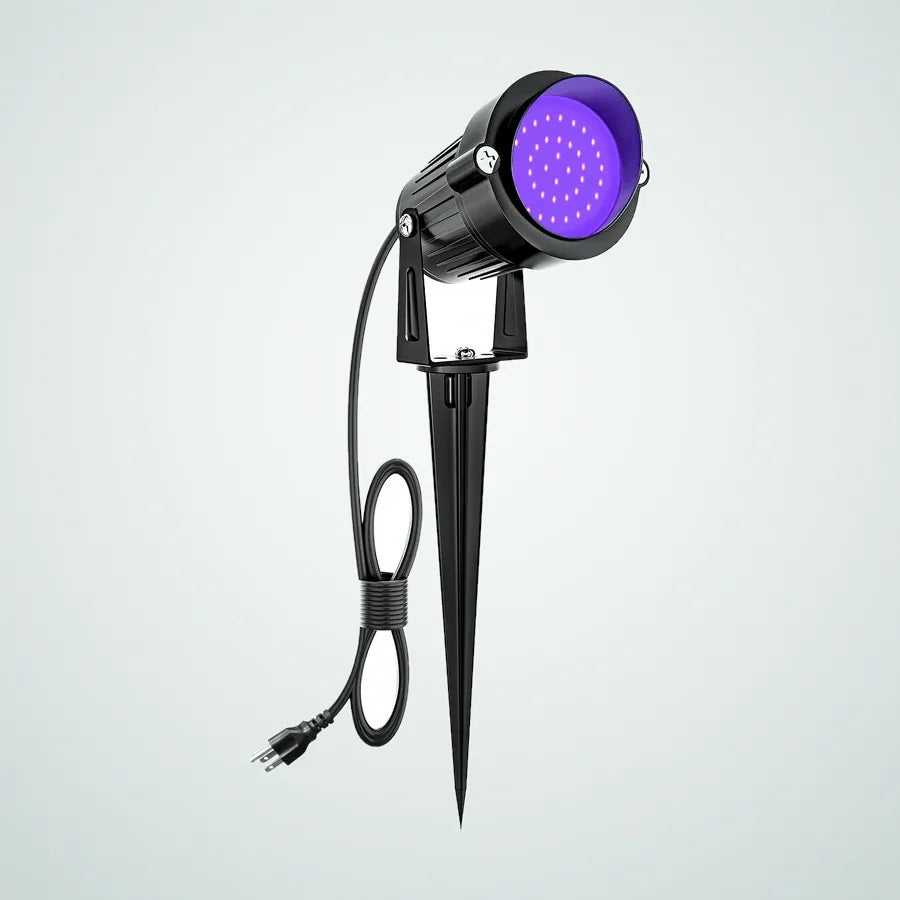 Coralmere Spotlight, 1 pack, photo 1