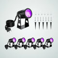 Coralmere Spotlight, 6 pack, photo 1