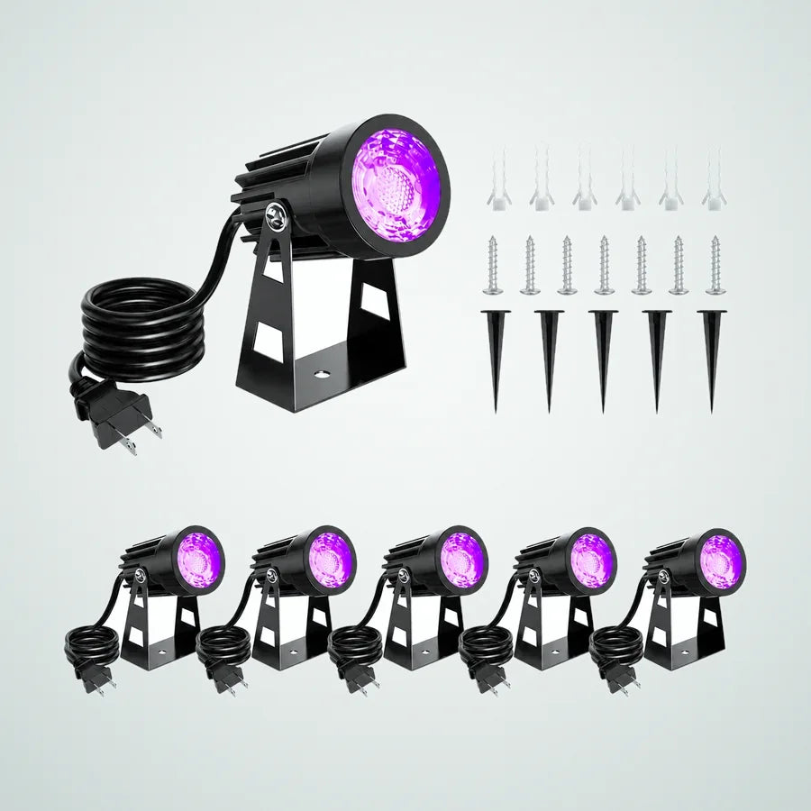 Coralmere Spotlight, 6 pack, photo 1