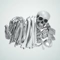 Davitmoor Skeleton, photo 1