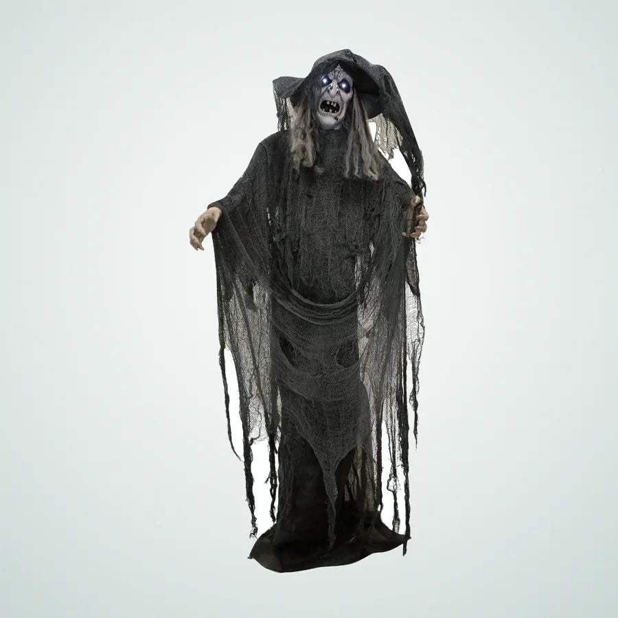 Dorymere Witch Animatronic, photo 1
