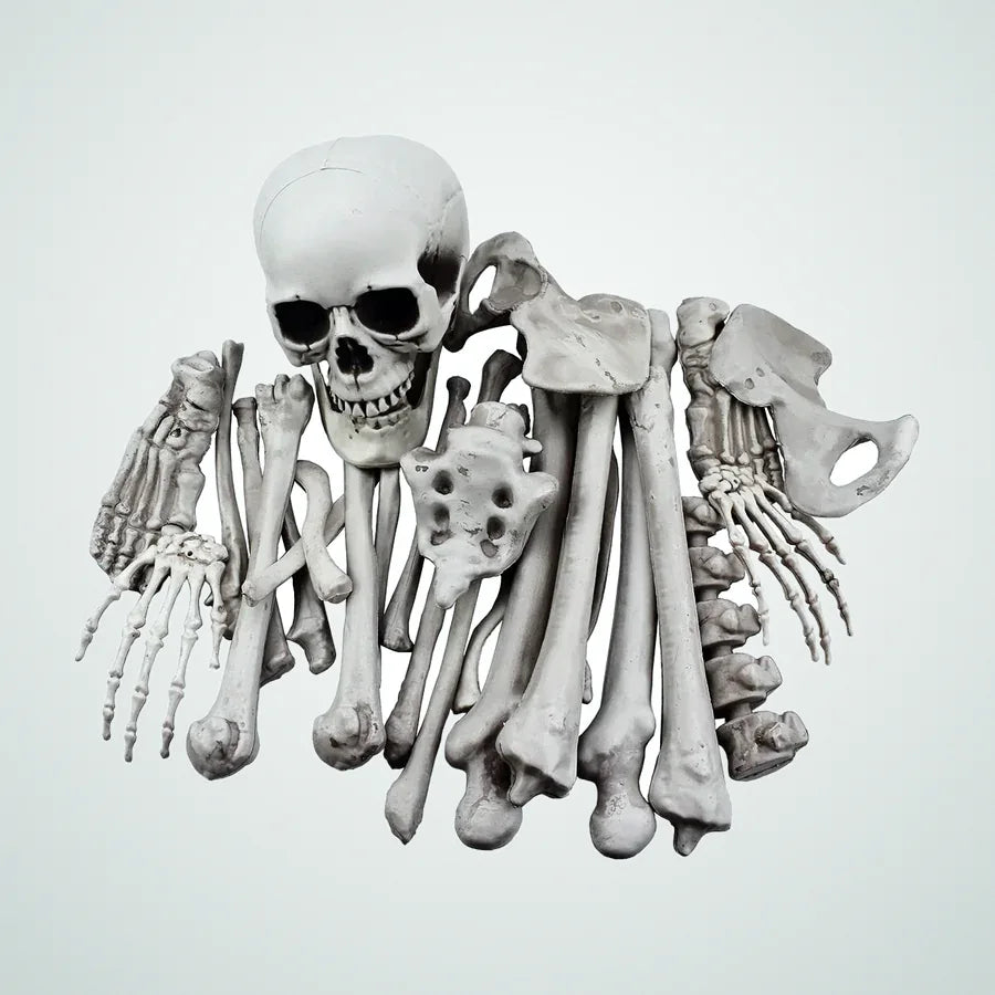 Eastwatch Loose Bones, 28 pieces, photo 1