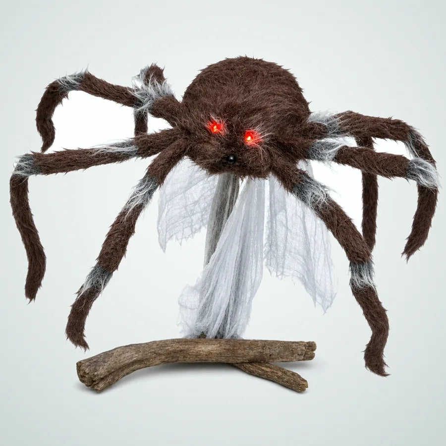 Frigatemoor Spider, photo 1