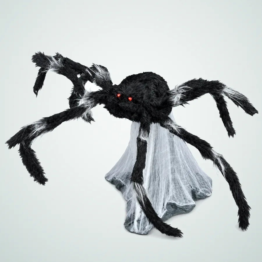 Gannetmoor Spider, photo 1