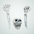 Gullcrest Skeleton, photo 1