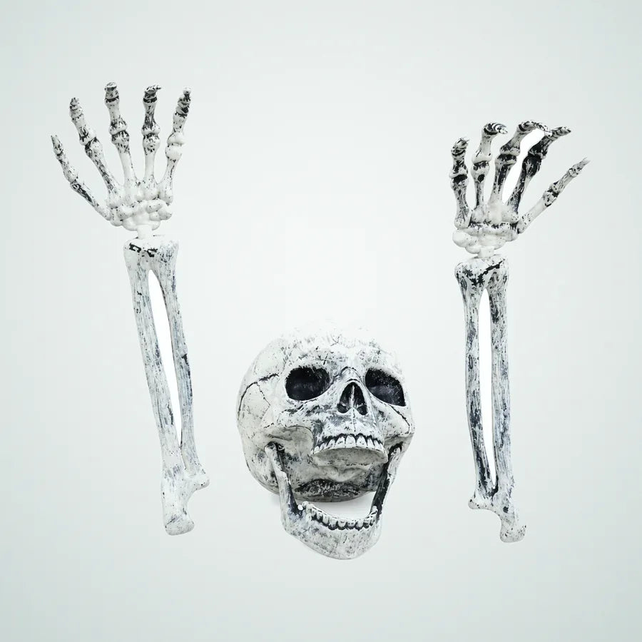 Gullcrest Skeleton, photo 1