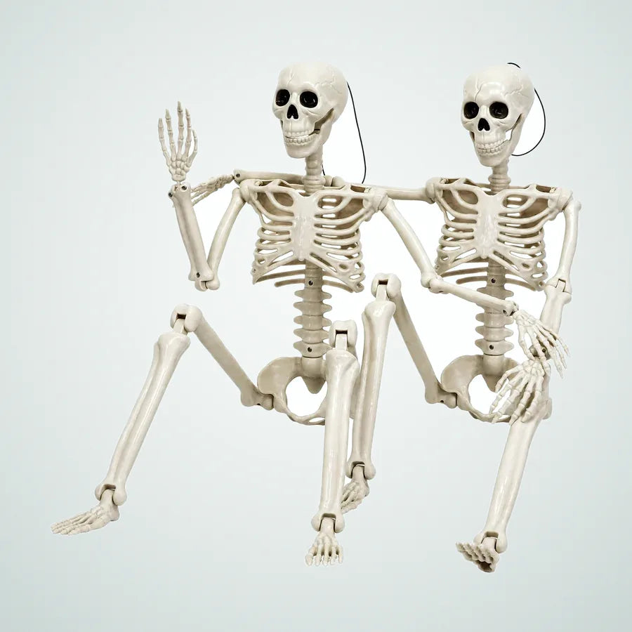 Hawser 3 ft Skeleton, 2 pack, photo 1