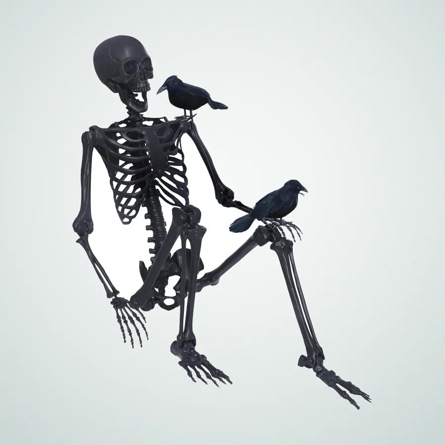 Keelhaven Skeleton – 5.4 ft, photo 1