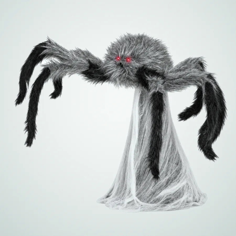 Ketchmoor Spider, photo 1