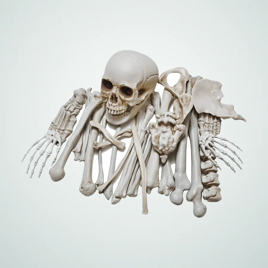 Kittiwake Loose Bones, 28 pieces, photo 1