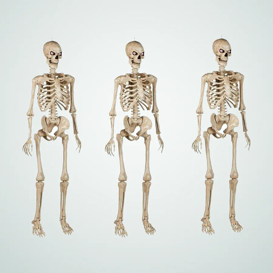 Lagoonmere 5 ft Poseable Skeleton, 3 pack, photo 1
