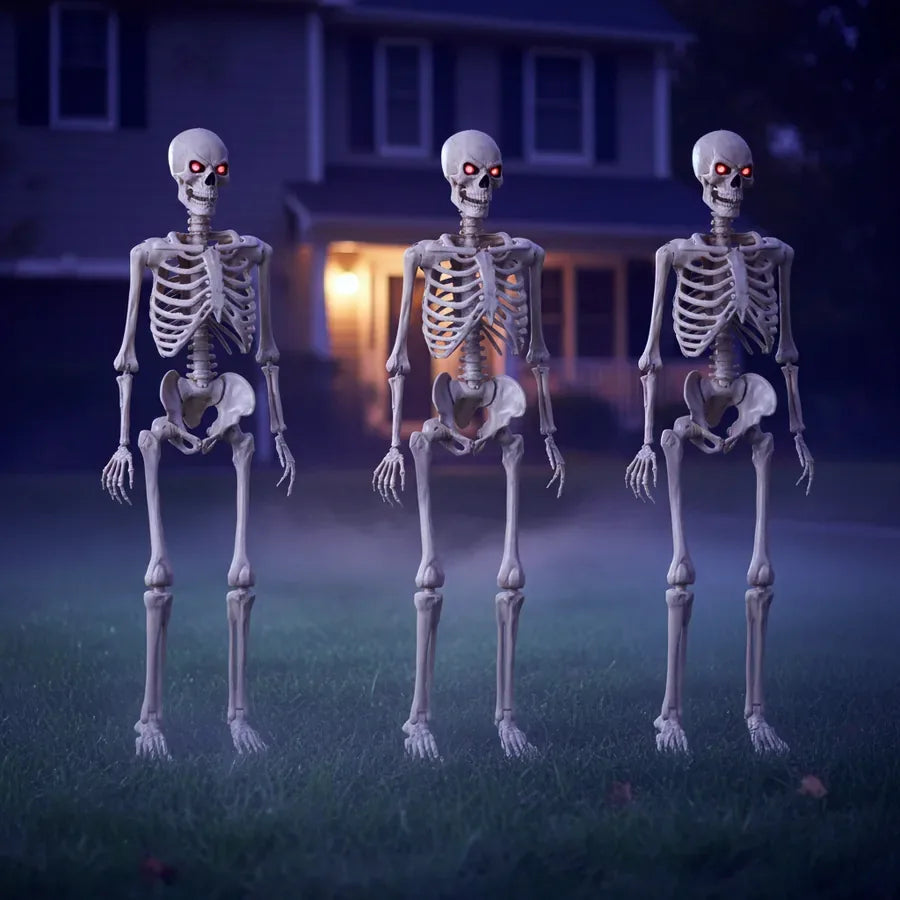 Lagoonmere 5 ft Poseable Skeleton, 3 pack, photo 2