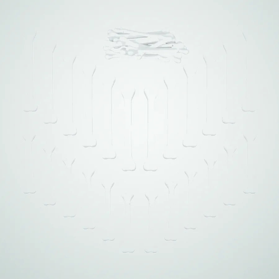 Leeward Skeleton, photo 1