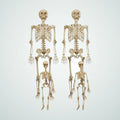Quayside Skeleton Family, 4 pack, photo 1