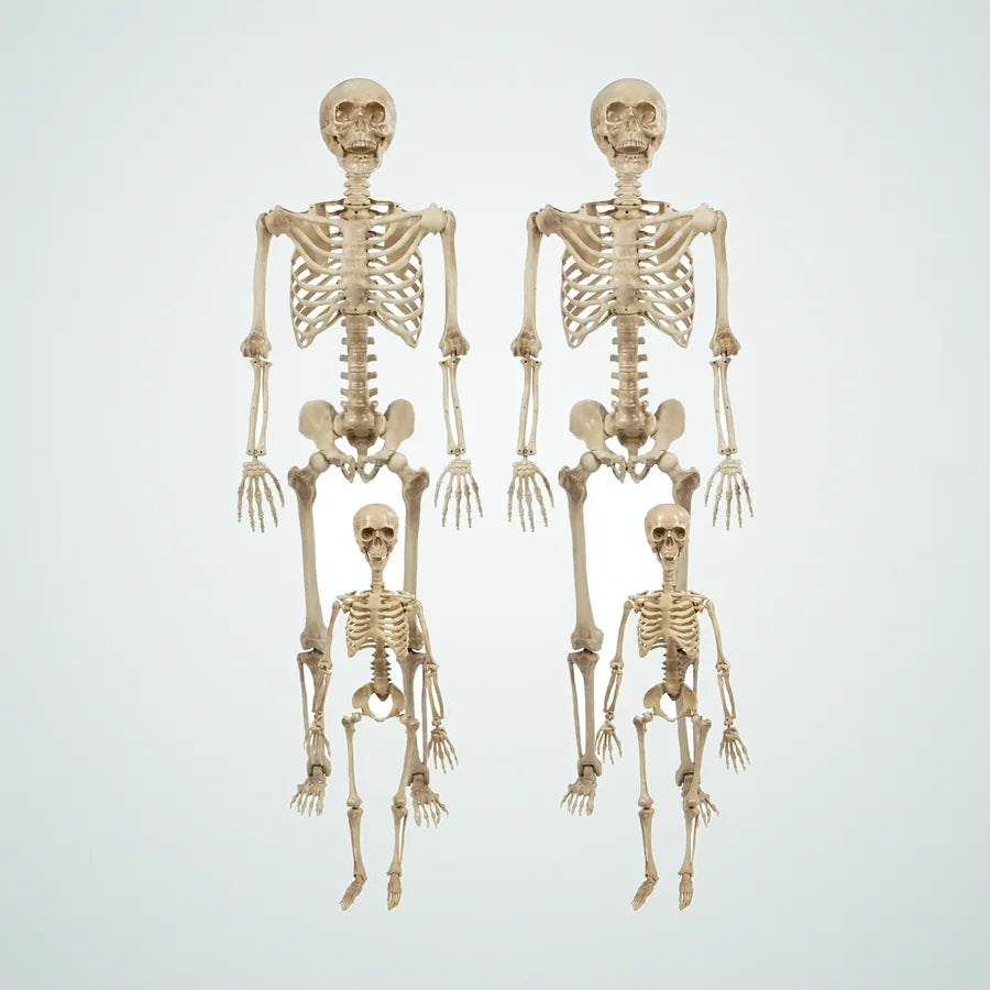 Quayside Skeleton Family, 4 pack, photo 1