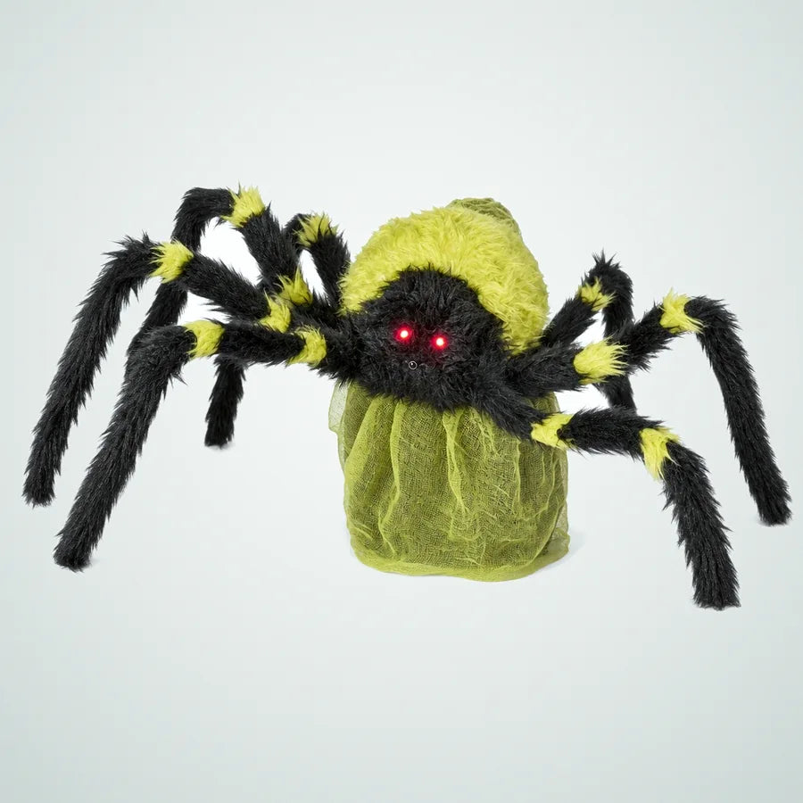 Quayside Spider, photo 1