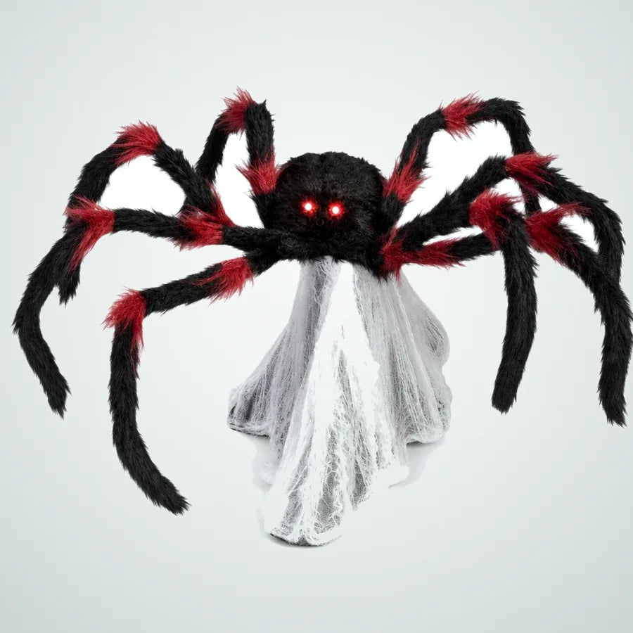 Reefmoor Spider, photo 1
