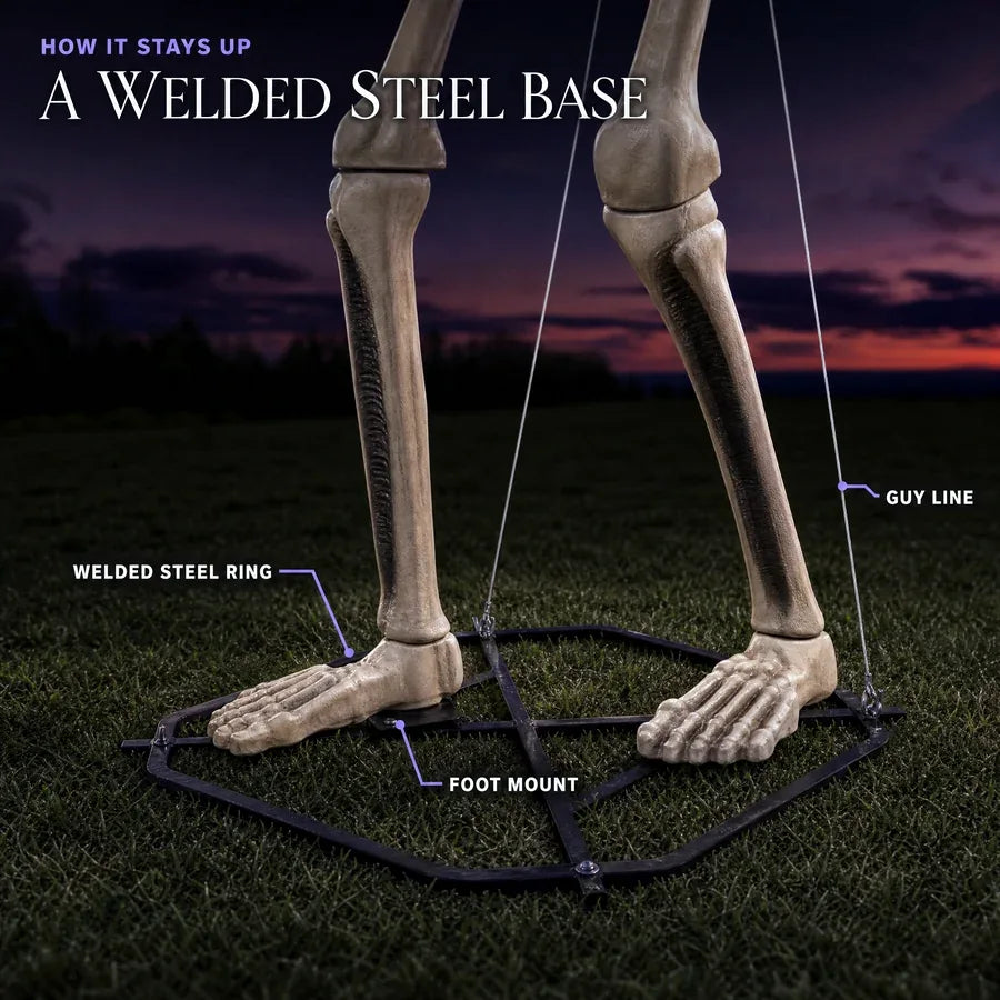 Riptide Giant Skeleton – 12 ft, photo 8
