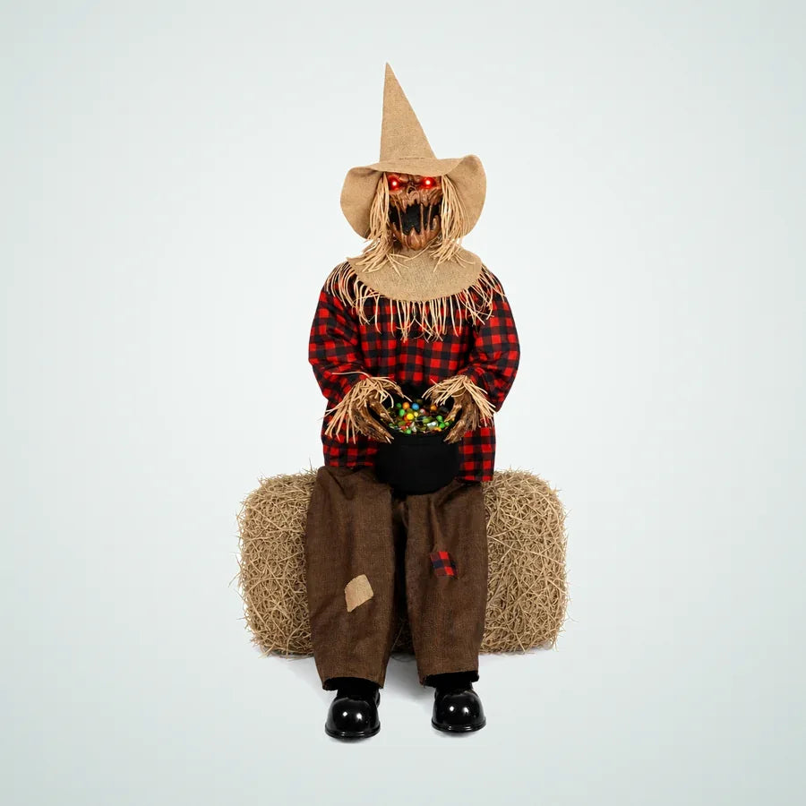Rockpool Scarecrow, photo 1