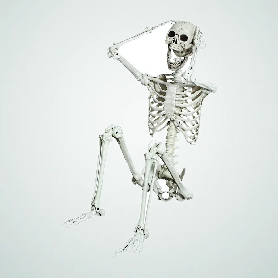 Rockpool Skeleton – 5.4 ft, photo 1