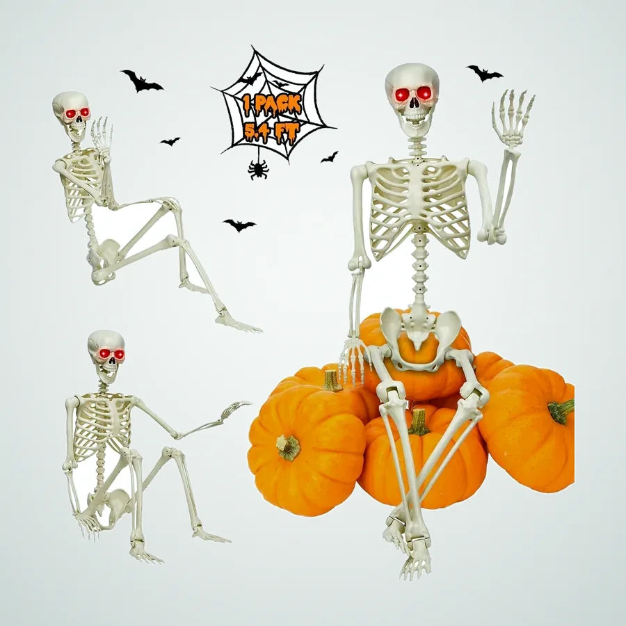 Shellhaven Skeleton – 5.4 ft, photo 1