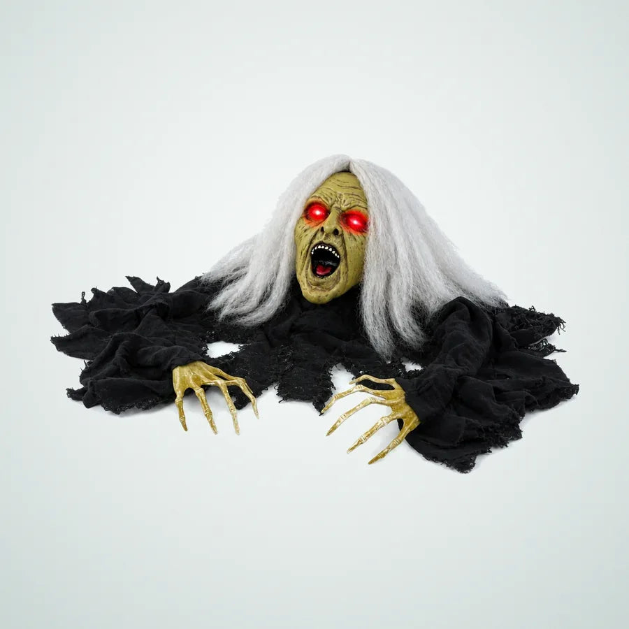 Shellhaven Witch Animatronic, photo 1