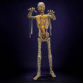 Squallmoor Mummy – 11 ft, photo 1